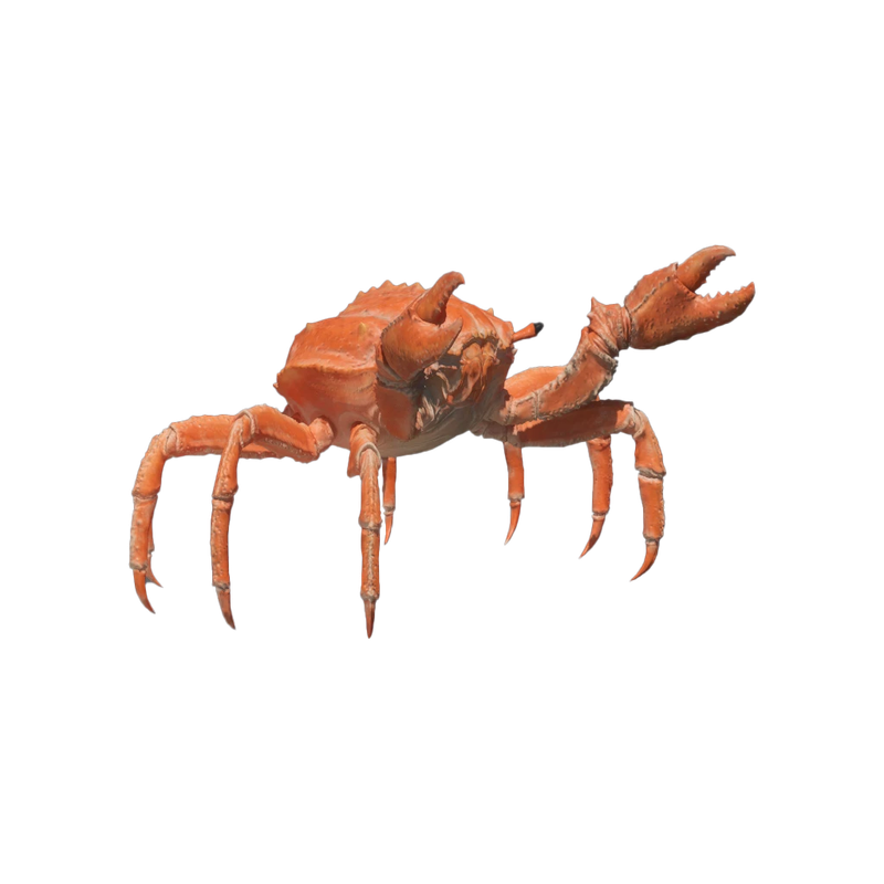 Crab