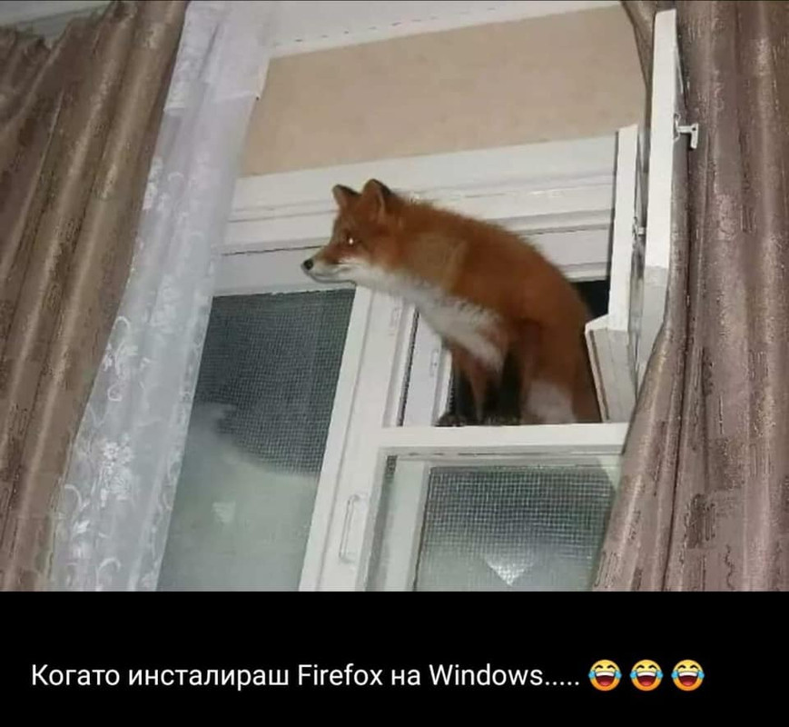 firefox.jpg