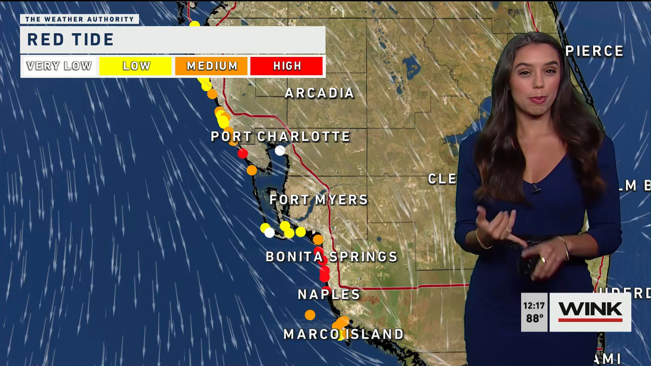 03.06 - 17.00.00 - The WINK Noon News  ᴺᵉʷ. Midday news update..ts_snapshot_24.25.711