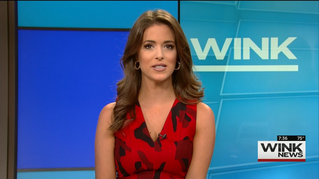 10.25 - 10.00.00 - WINK News @ 6 00AM Sunday..ts_snapshot_37.54.625