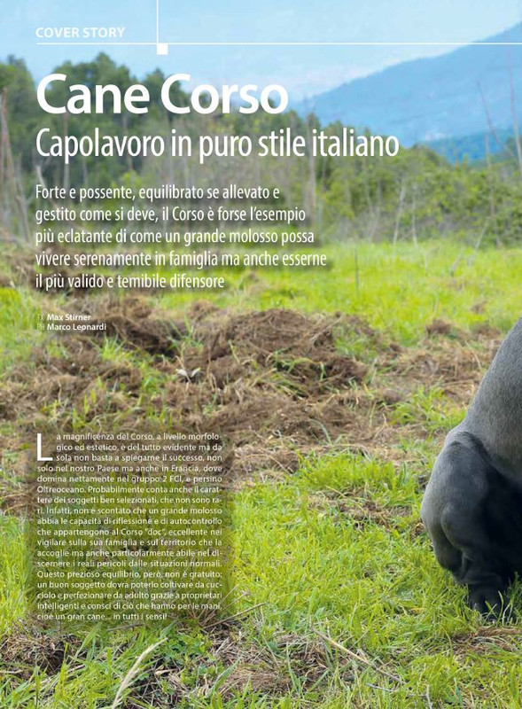 Il M C Set-Ott 2024 (9)