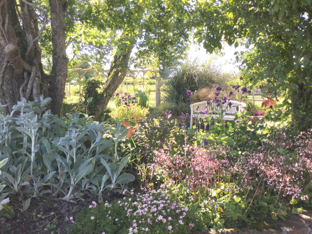 1BCFC318-641B-4F72-A8B2-C8274853F2CF