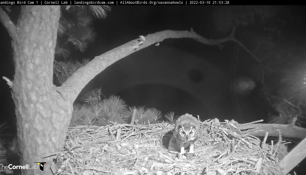 WhatsApp Image 2022-03-13 at 9.19.27 AM (3)