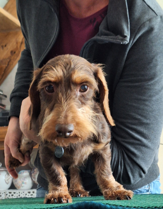 [Image: 20240702-164053.jpg]