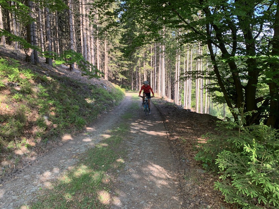 9D0DB4AC-17D5-49D7-8632-656E5B519BB7