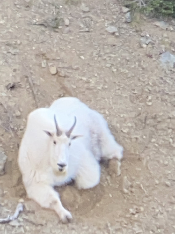 CC505891-1CF9-479A-8FE5-3C76E435E7DF