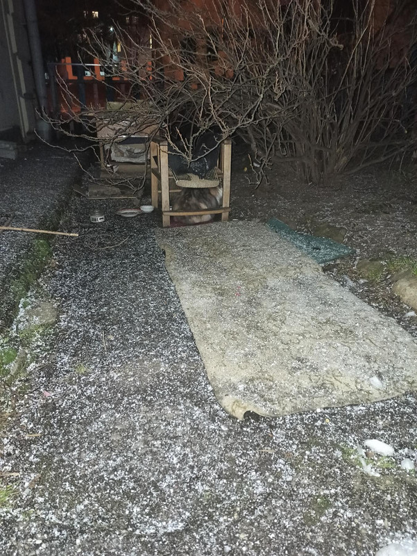 Маруся прячется