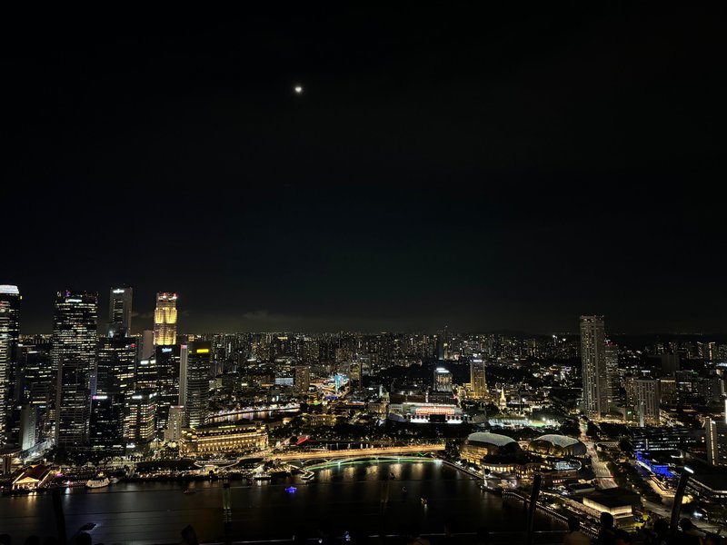 6 Aviones, 3 barcos y 2 trenes, empezando en Estambul y terminando Kuala Lump - Blogs de Indonesia - SEGUNDA PARADA: SINGAPUR (33)