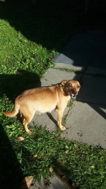 IMG_9072-02-10-18-09-36