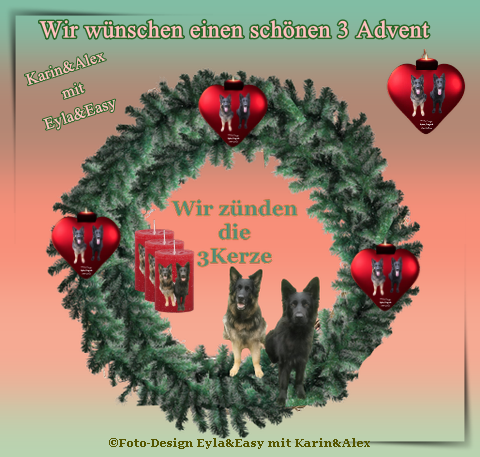 An den Beitrag angehängtes Bild: https://i.postimg.cc/dtQpV7j8/advent3.png