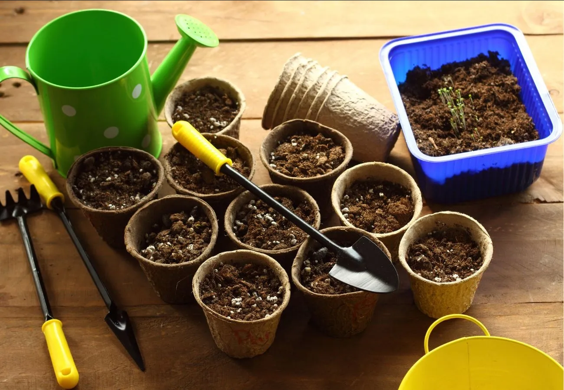 ¿Cómo hacer tierra negra? Esta es la guía para hacerla con fibra de coco