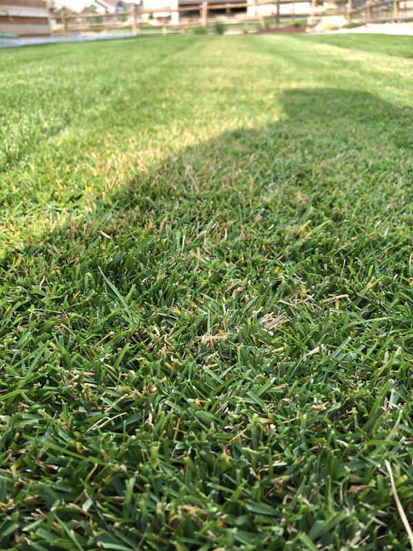 E2676F00-5687-4CF5-B35F-B4F5705027DC