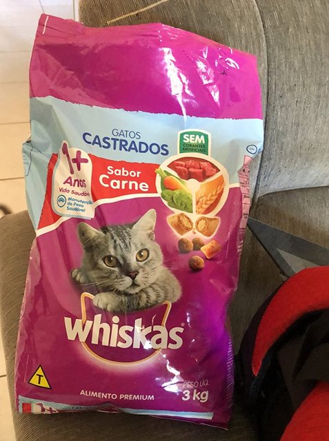 Ração Whiskas para Gatos Adultos Castrados Sabor Carne – 10,1kg