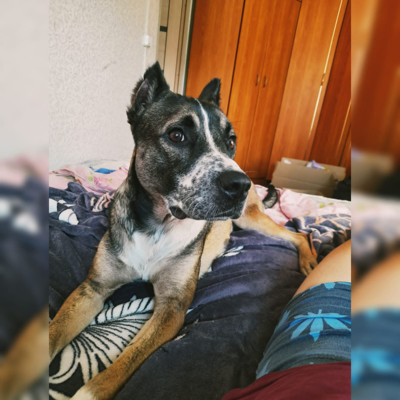 285A631E-A935-4ABE-B0B4-0ED033AF9238