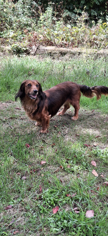 [Image: 1000023929.jpg]