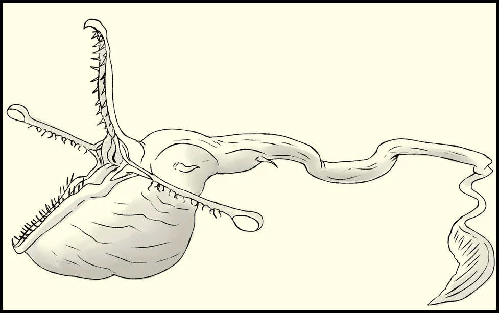 voodoopeople.png