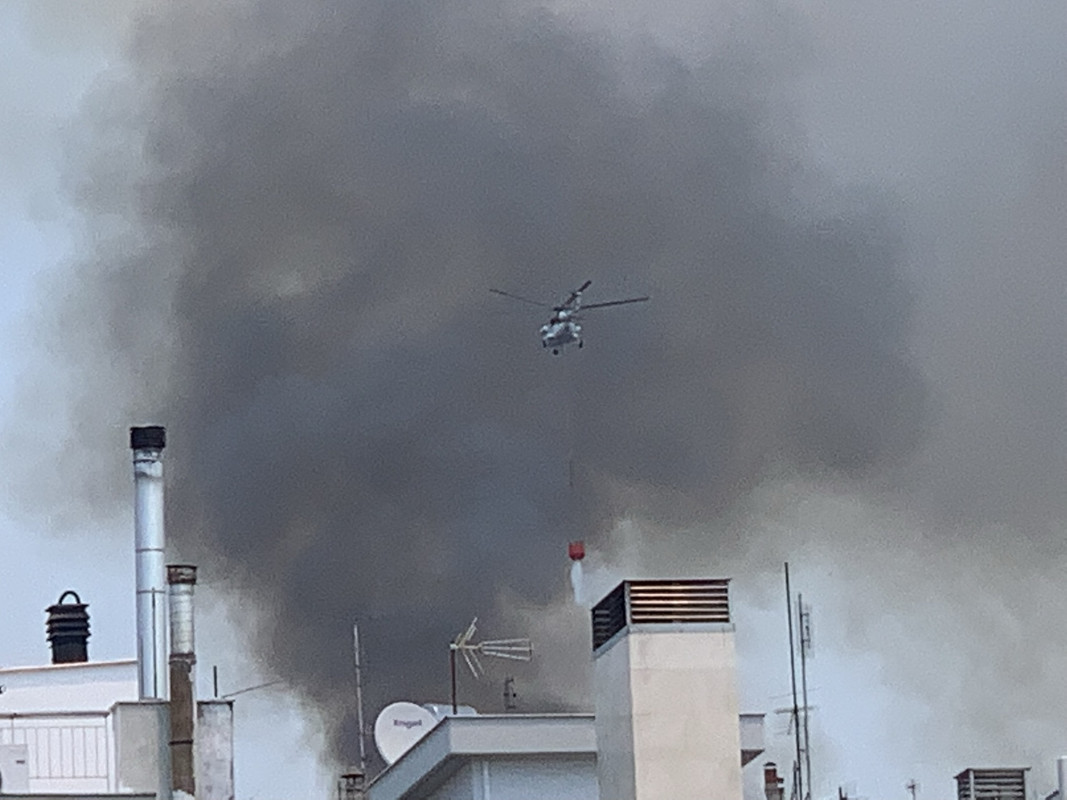 EA396170-260E-4495-B0EA-3E8DE40DA36E