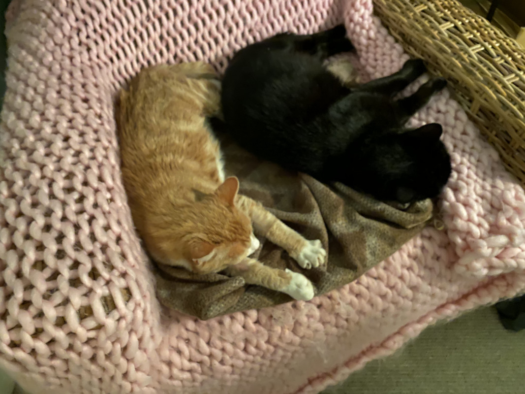 4342F139-15B6-44D2-8B68-57CC7594525E