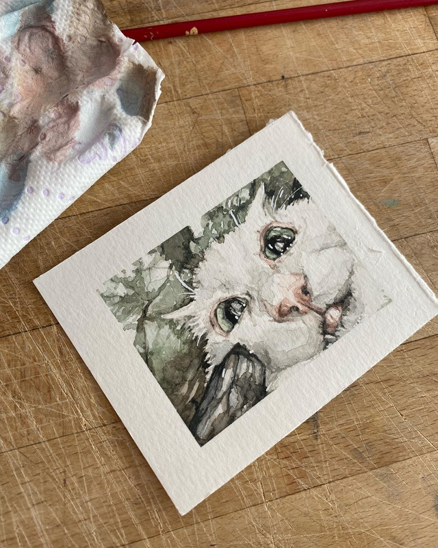 9986D91F-771C-402B-8252-074034946071