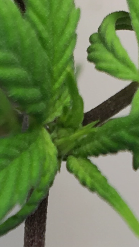 05000A27-7350-4F35-9892-C7ABB8B9F0E2