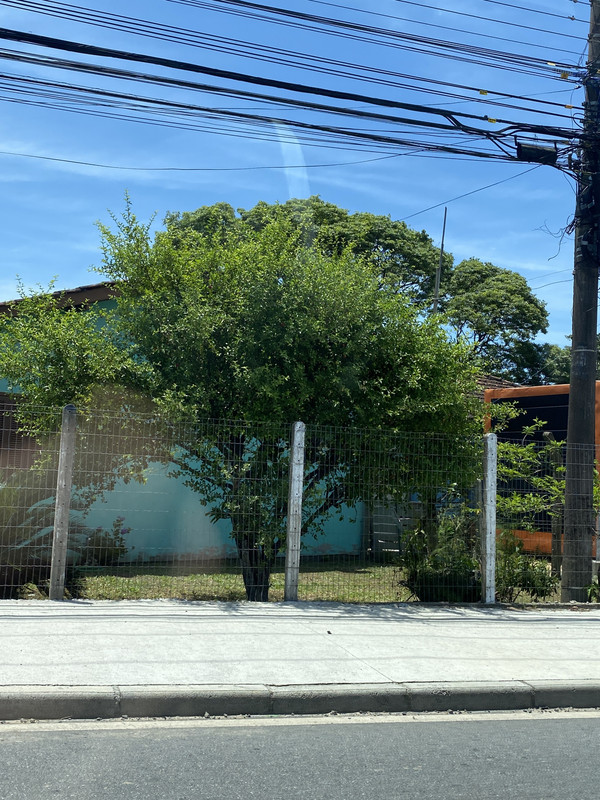 F854C004-34D3-4A93-8466-4ADA3FC8E214