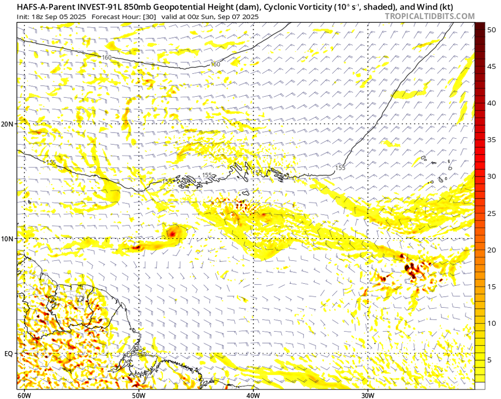 hafsa-p_z850_vort_91L_11