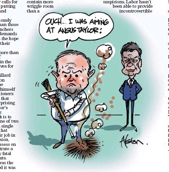 Albo's Angus blunder Getimage