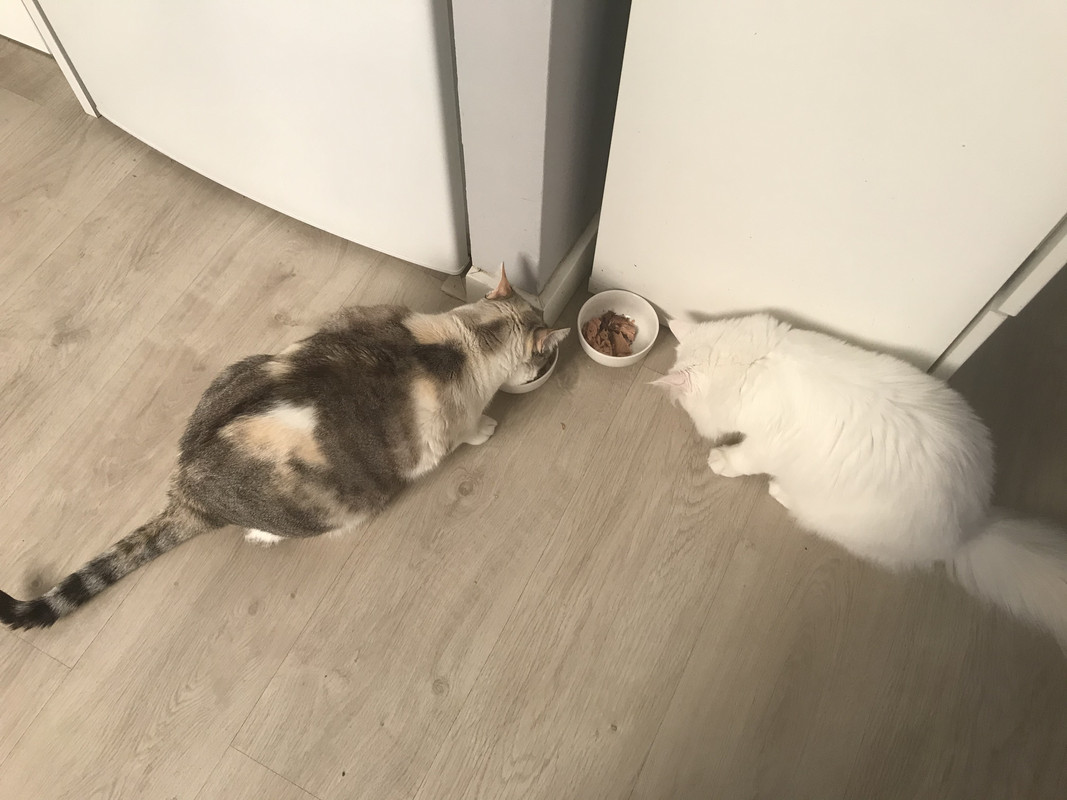 99BDE284-CCDC-47E5-928E-06B15B02E9B4