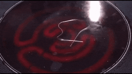 GIFs-28