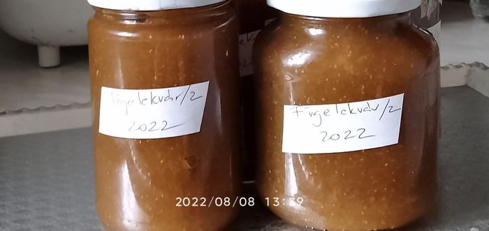 https://i.postimg.cc/dtS5ZBzC/fugelekvar2-2022-08-08.jpg