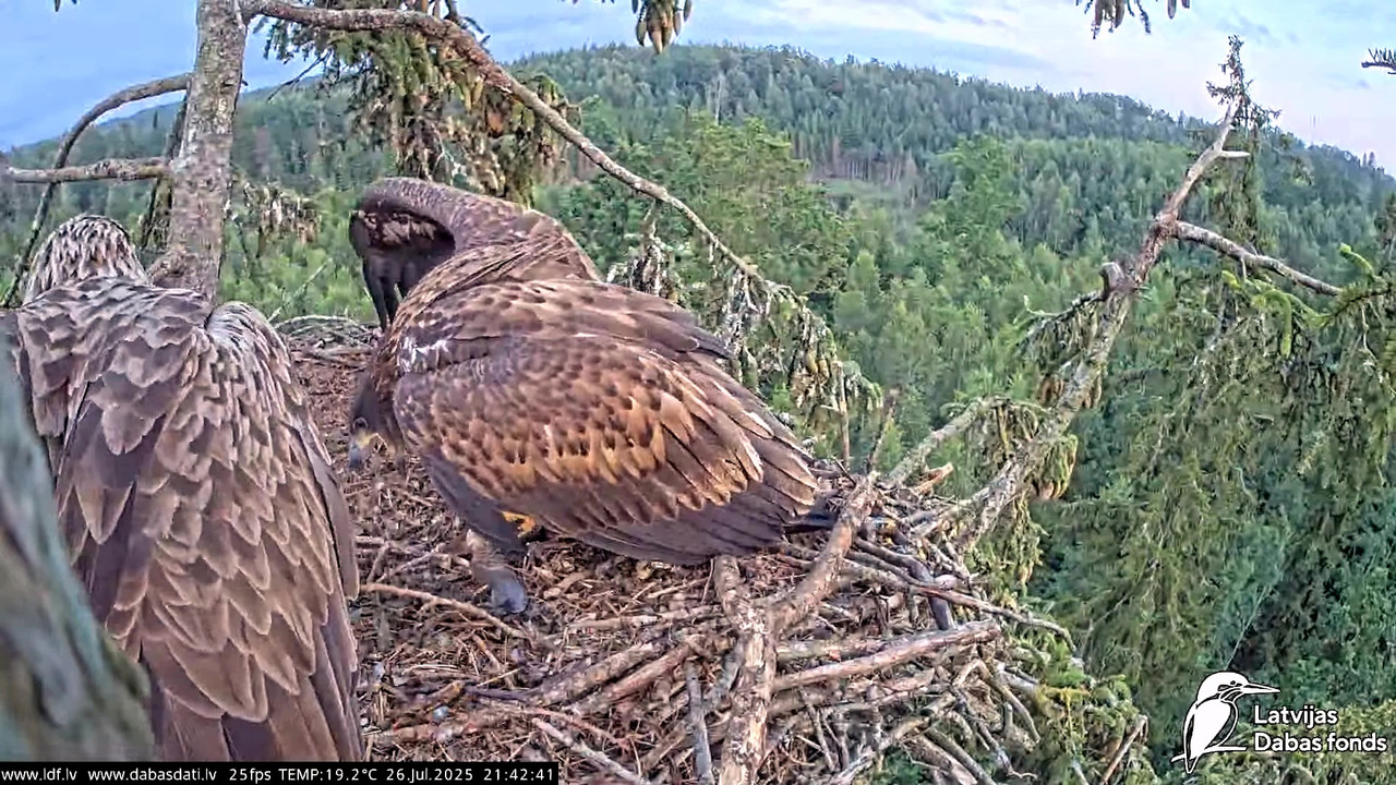 vlcsnap-2025-07-27-04h50m12s772