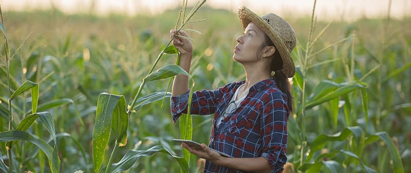 TECNOLOGIA EM GESTÃO DO AGRONEGÓCIO