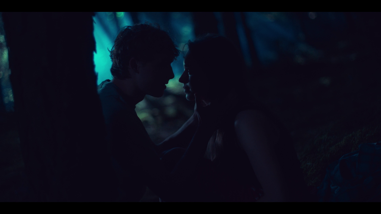 The Woods Movie Screenshot