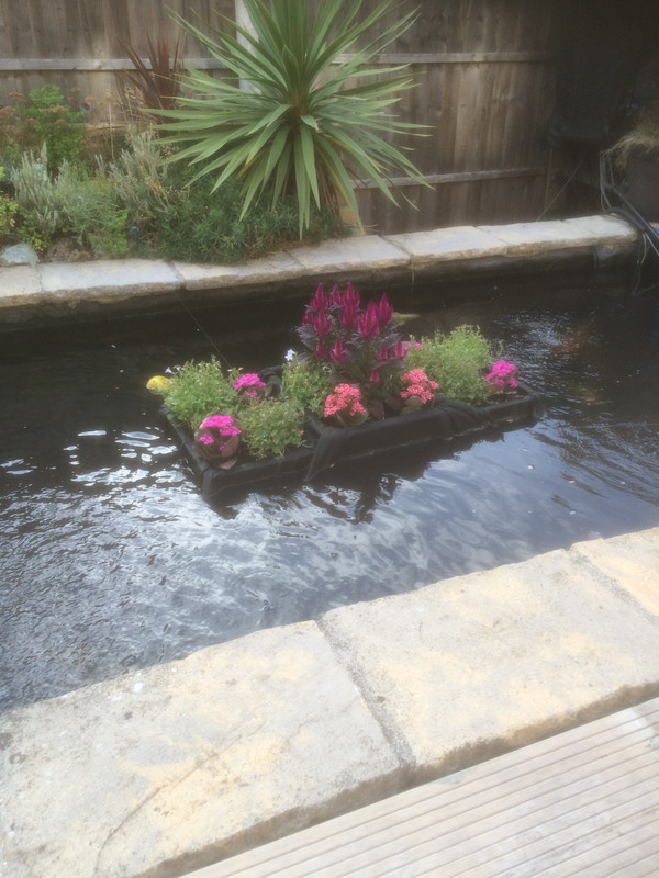 86D37221-07EF-4036-B3EB-423273354EFC