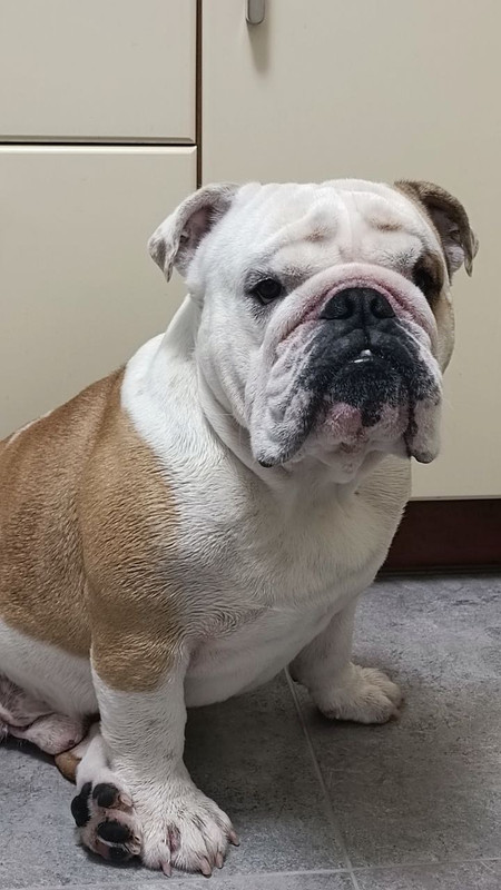 photo_2024-02-02_21-01-21 (4)