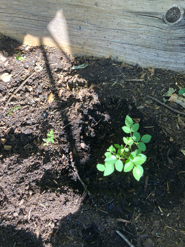 ECE31CD8-7026-46FD-8C9D-0426F70CF586