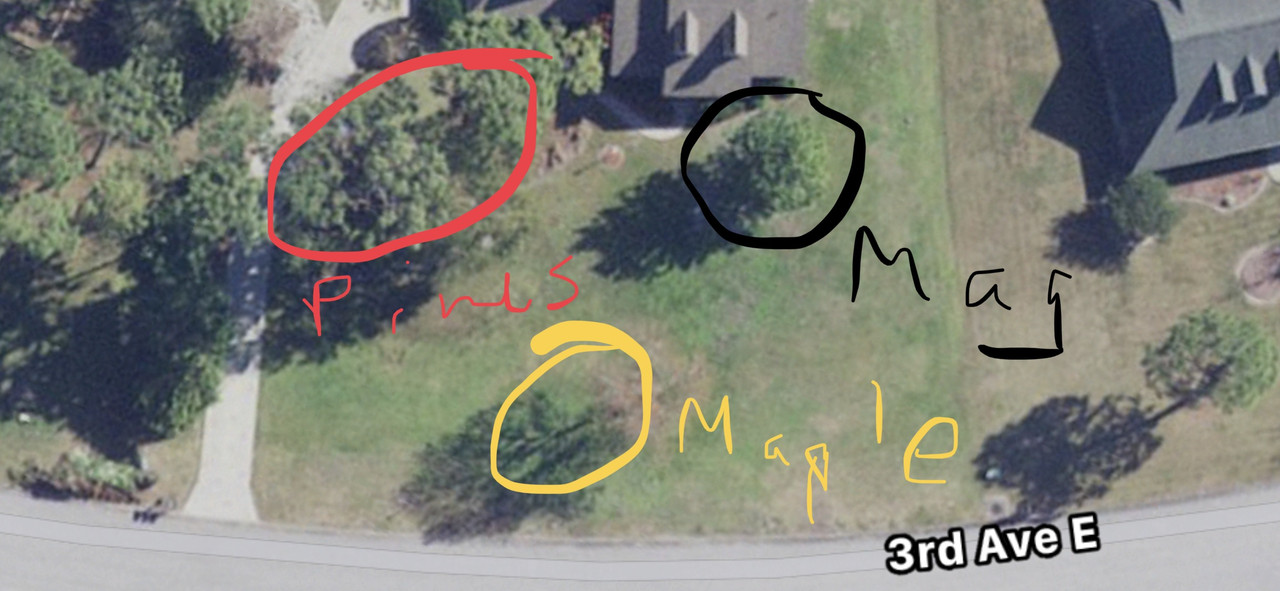 3710D635-A0AB-4B62-8FD8-9CBA0D18E03F