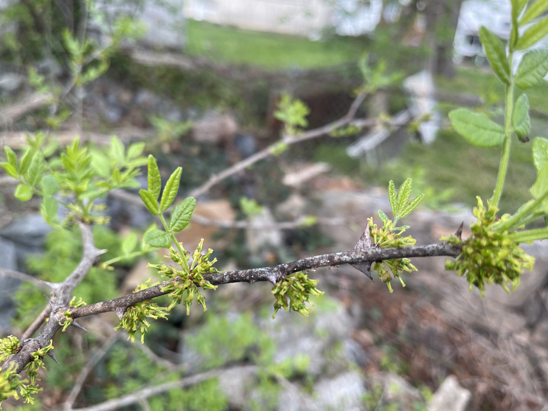 940E86C4-EFE2-4477-BC0F-59E9D2428FBB