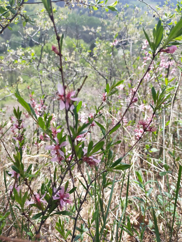 IMG_20230521_201032_249