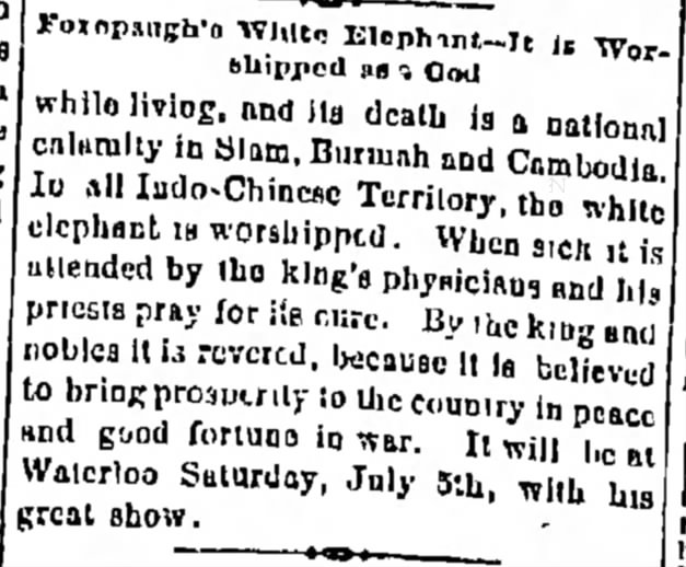 Cambodia_White_Elephant_4