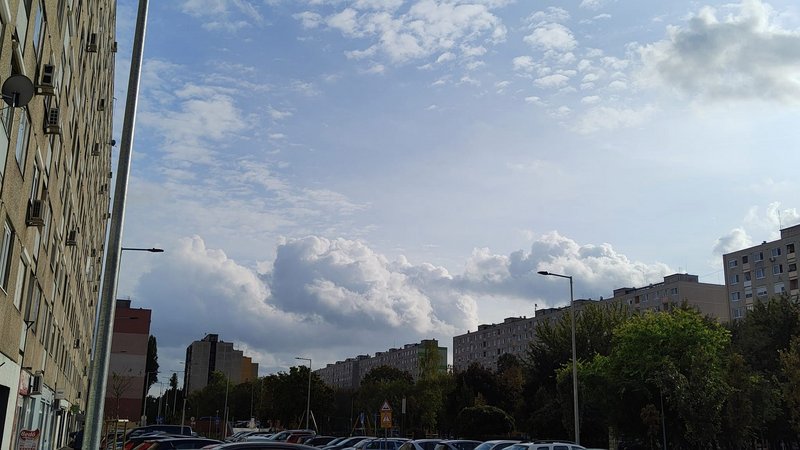 Kép