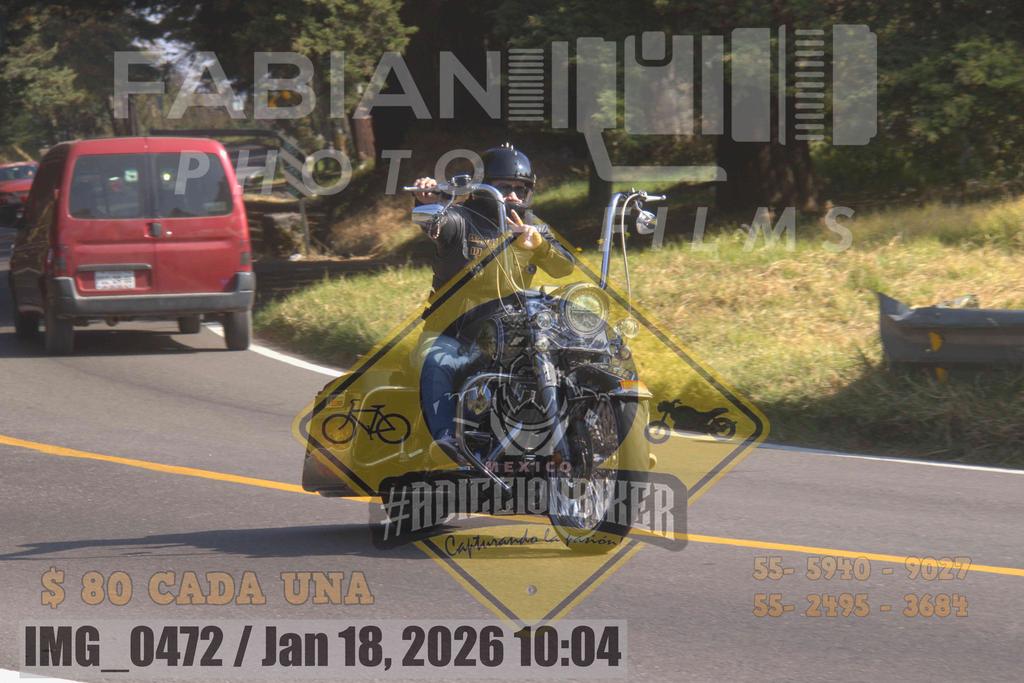IMG 0472