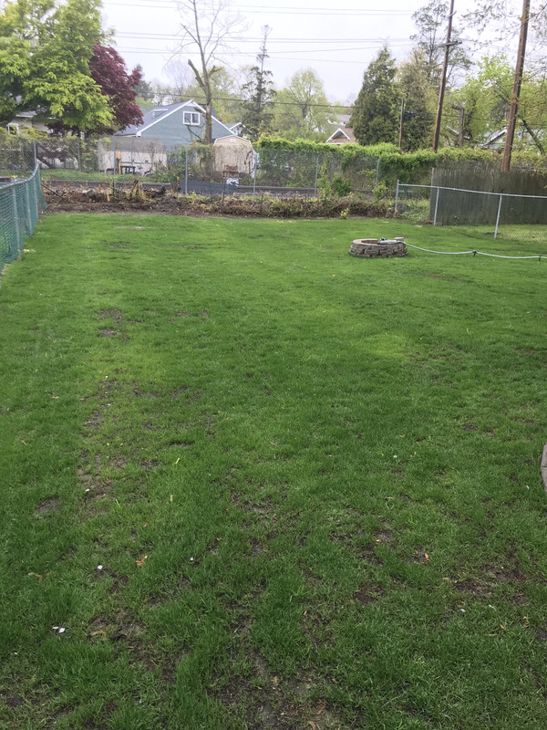 453EDAC4-9BFE-4F0C-9FBC-486C9C6E658C