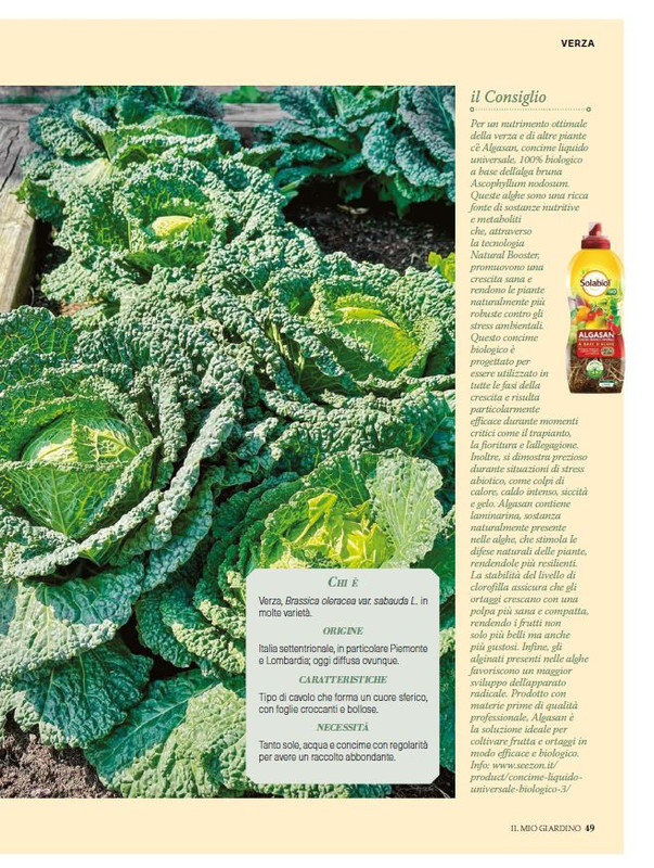 Il Mio Giar Ott-Nov 2024 (6)