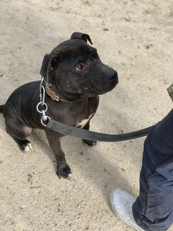 810F01B9-6E64-4558-9A04-6B62614AEAFA