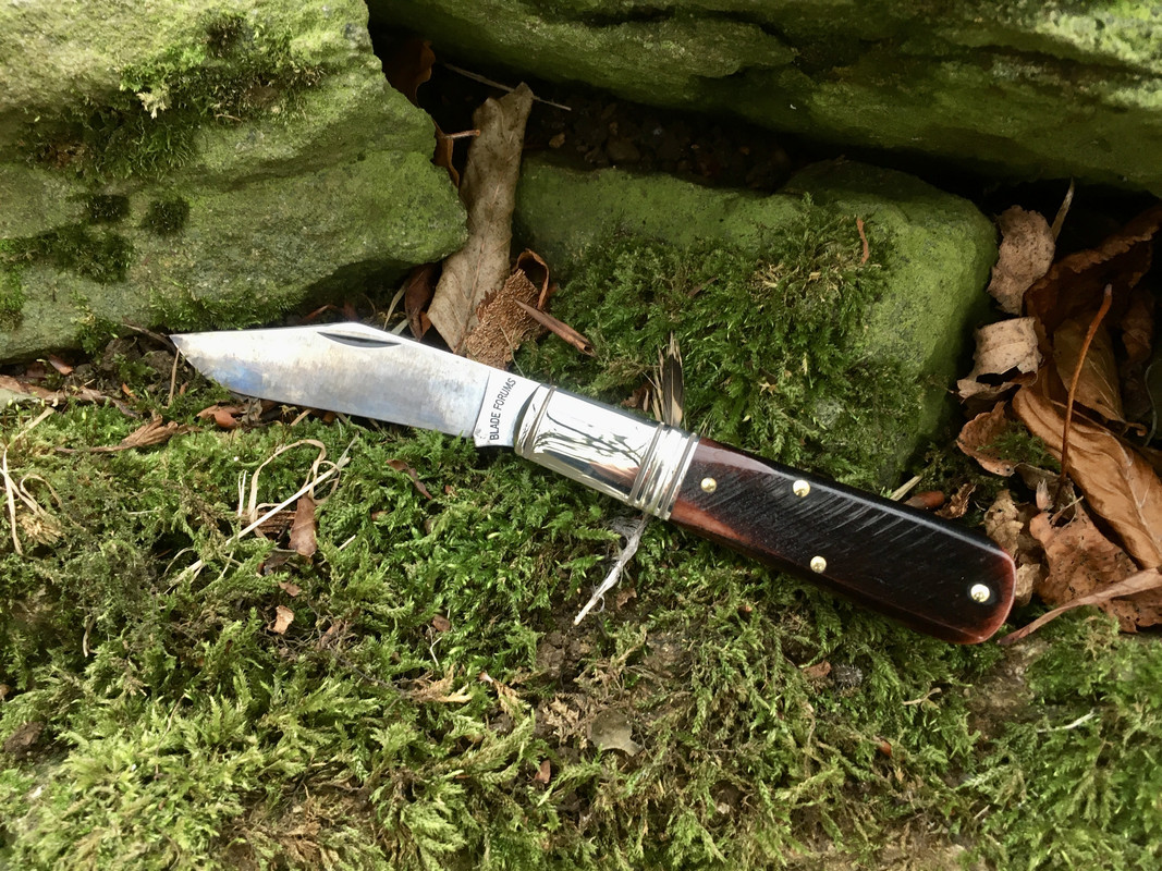 AA1E2411-10D9-4D74-B403-5826909B79AB