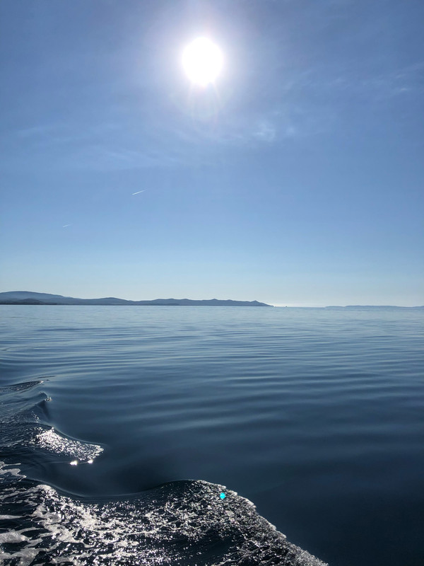 8B456116-D979-4D4B-BAE2-CE8A48D3C905