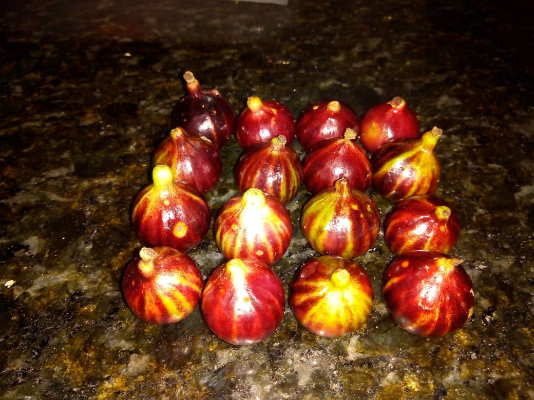 WhatsApp Image 2020-12-20 at 00.10.49 (20)