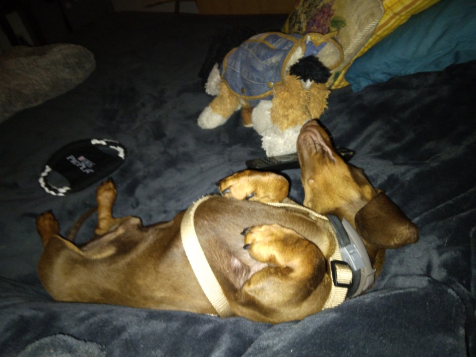 [Image: Resized-20220526-231916-1.jpg]