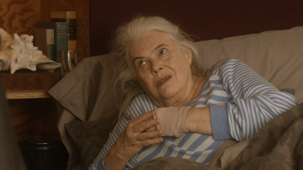 Marjorie Prime 2017 (1080p x265 10bit Tigole).mkv_snapshot_00.30